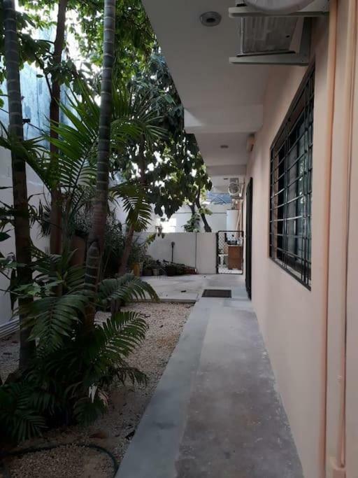 Estudio En Cancun Centro Εξωτερικό φωτογραφία